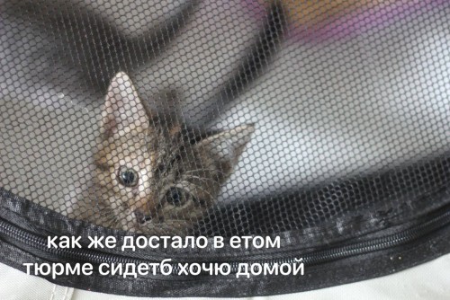 photo 22095@03 07 2023 20 30 58