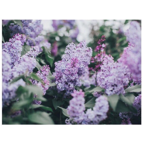 photo_10014-09-2018_04-26-25.jpg