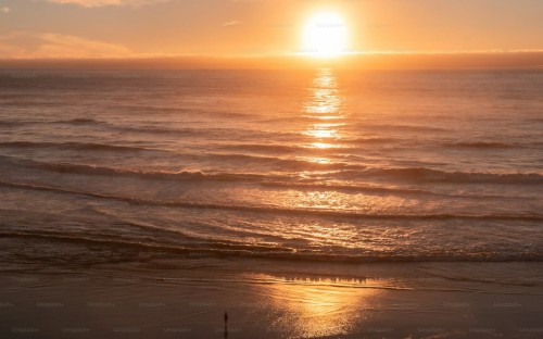 photo 4428@28 02 2024 23 34 28