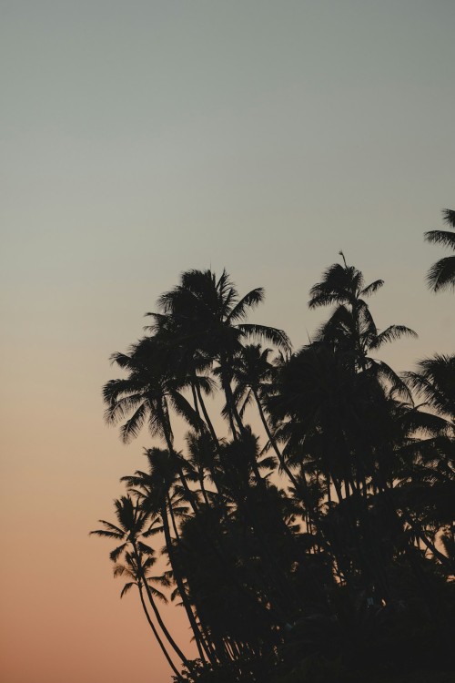 photo 4430@29 02 2024 23 34 18