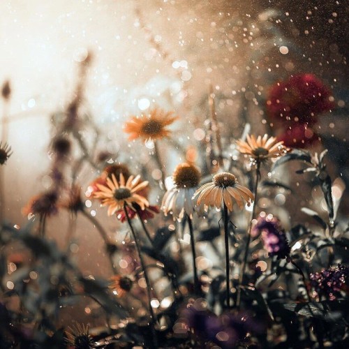 photo_9011-09-2018_22-30-44.jpg